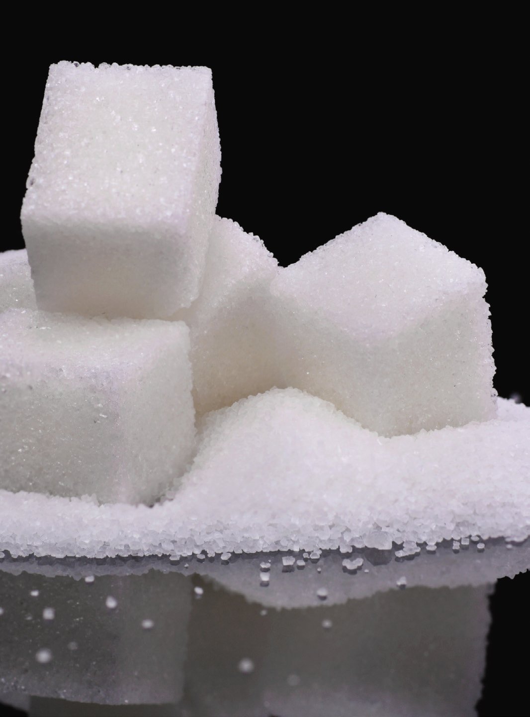 Download our brochure